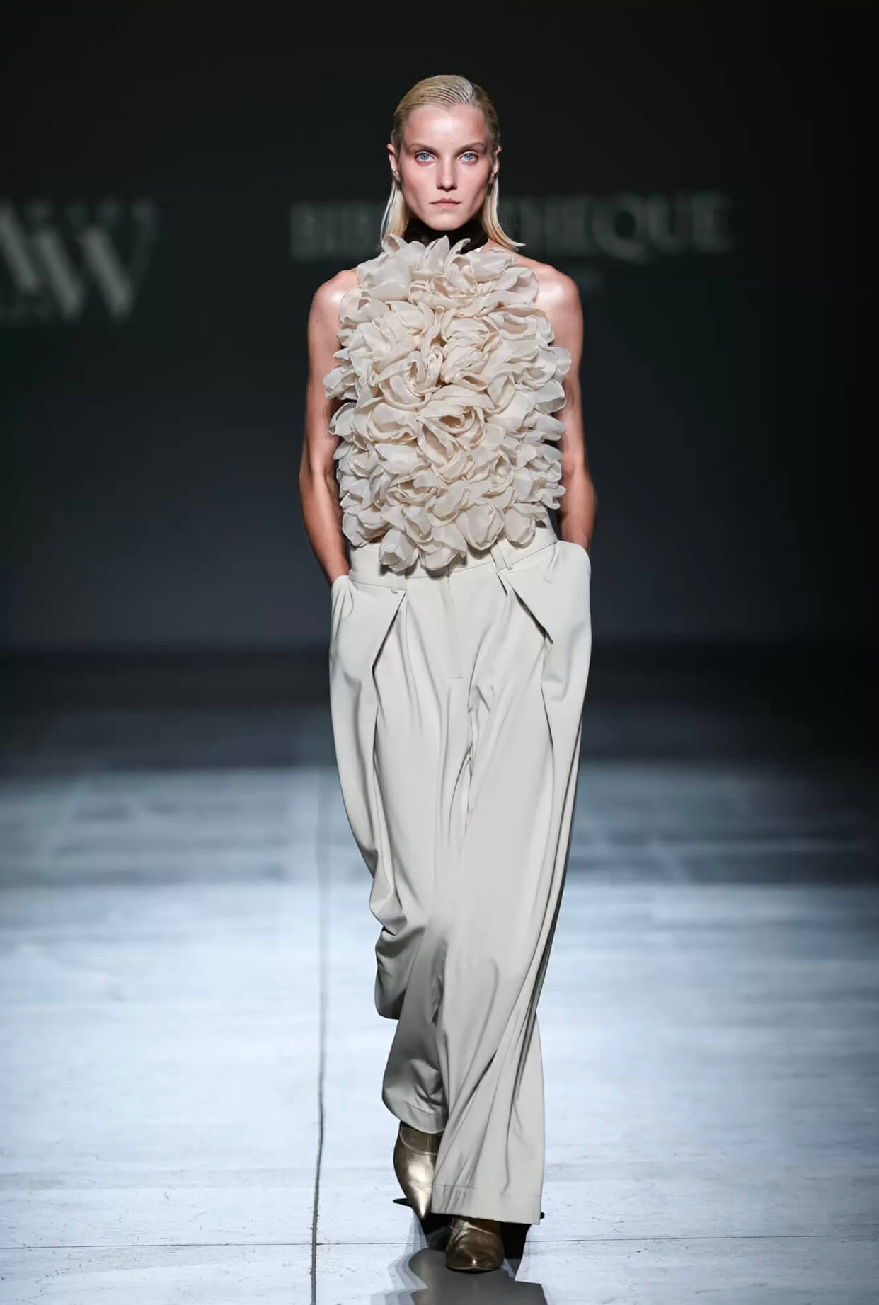 Cat walk, fasion show